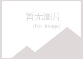 玛沁县夏岚水泥有限公司